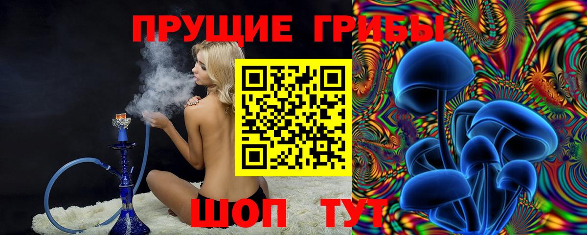 Псилоцибиновые грибы прущие грибы Луховицы