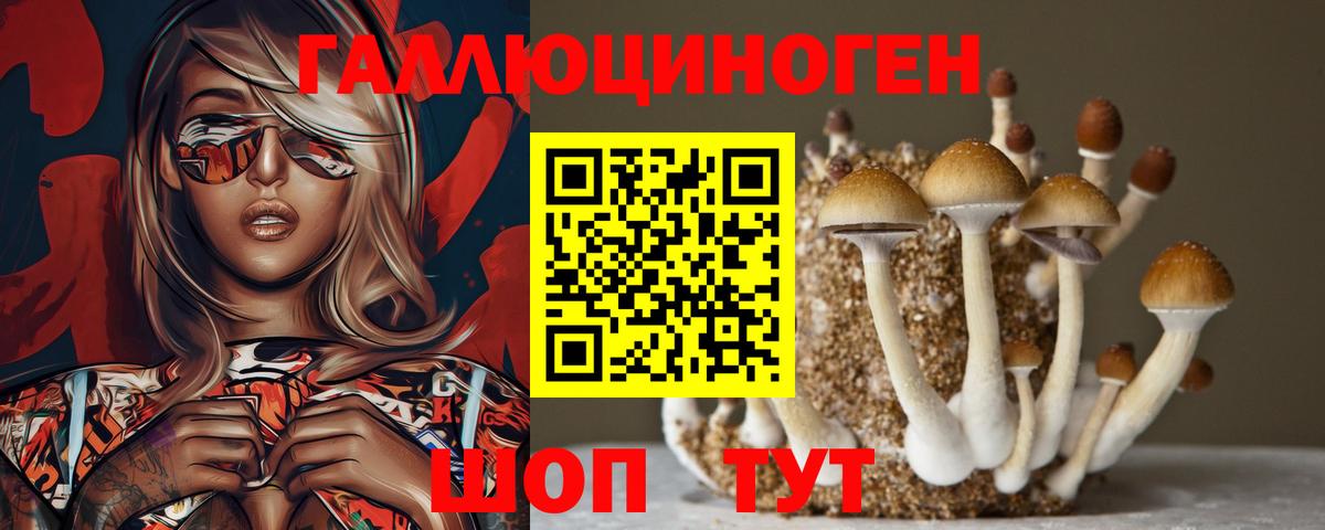Галлюциногенные грибы Psilocybe  наркотики  Луховицы  Вход с VPN 